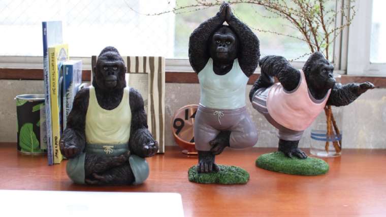 松山のヨガスタジオyoginiaにヨガゴリラがやってきた